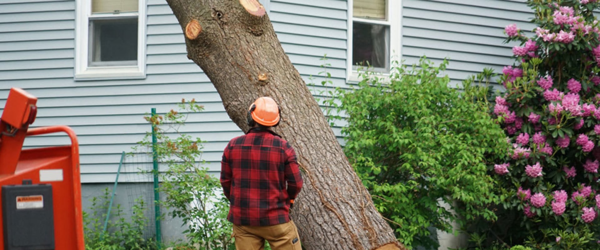How Long Does Residential Tree Removal Take? An Expert's Guide