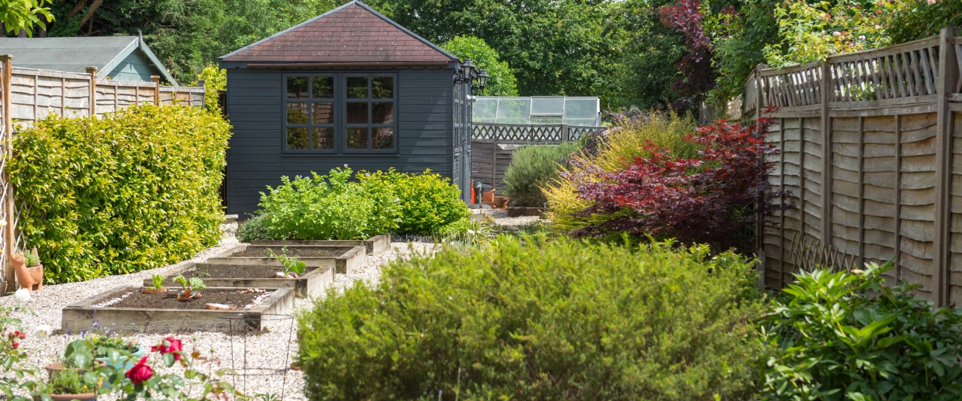 Exploring Alternatives to Residential Tree Removal