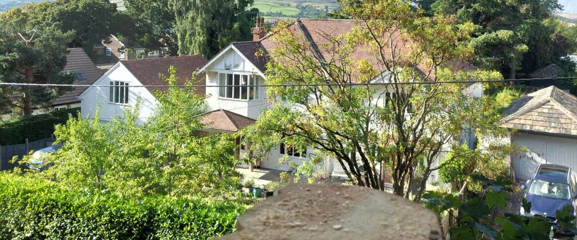 The Cost of Residential Tree Removal: What You Need to Know