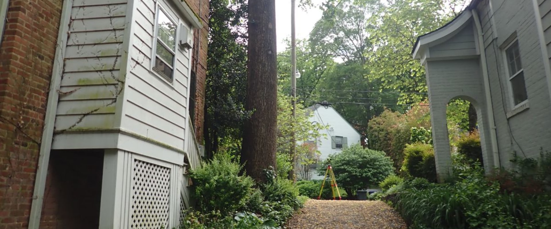 The Importance of Obtaining a Permit for Residential Tree Removal