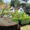 The Cost of Residential Tree Removal: What You Need to Know