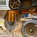 Preparing for Residential Tree Removal: Expert Tips