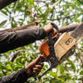 Residential Tree Removal: What You Need to Know