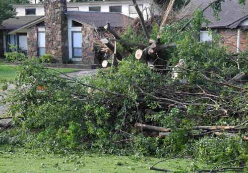 The Benefits of Professional Tree Removal Services