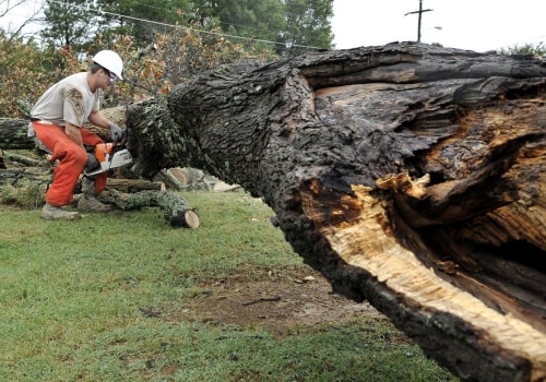 Residential Tree Removal: Why It's Necessary and How to Do It Safely