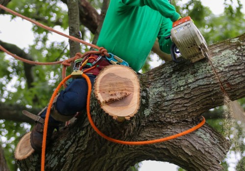 Residential Tree Removal: How to Properly Dispose of Removed Trees and Branches