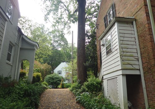 The Importance of Obtaining a Permit for Residential Tree Removal