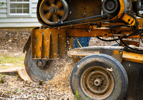 Preparing for Residential Tree Removal: Expert Tips